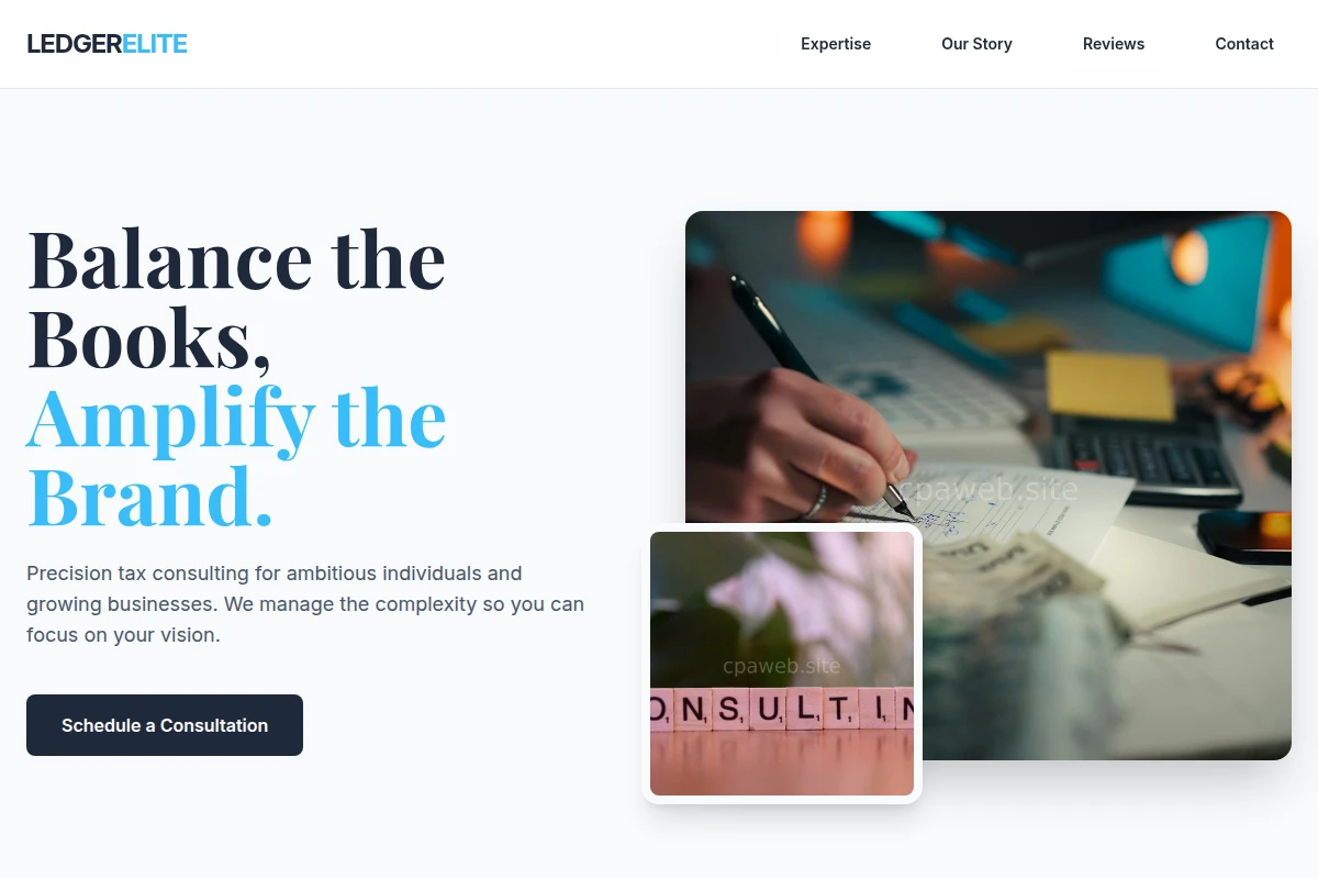 Ledger Tax Consulting